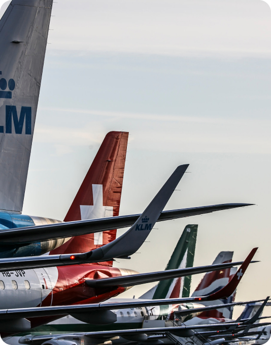 Handle Air and Ocean and Inland Shipments